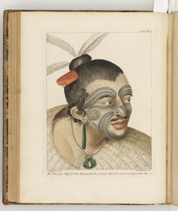 「南洋への航海日記：陛下の船、エンデバー号」、1794年のイラスト 作： Sydney Parkinson